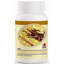 DXN Cordyceps en polvo