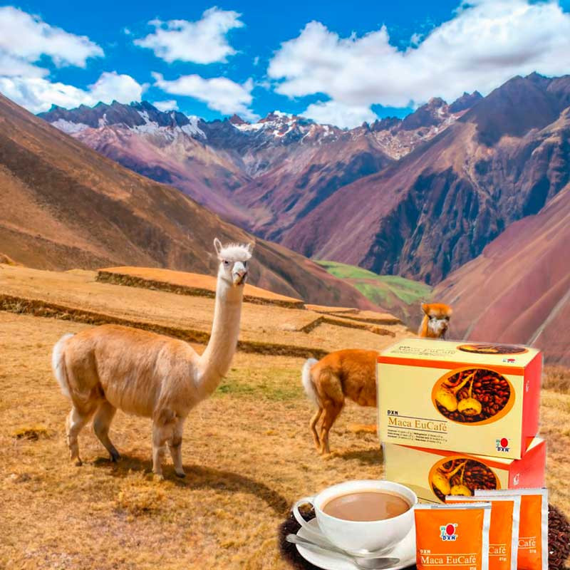 Maca EuCafé - Café con Maca