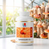 Cápsula GL 360 - Ganoderma Mycelium