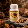 DXN Cordyceps en polvo